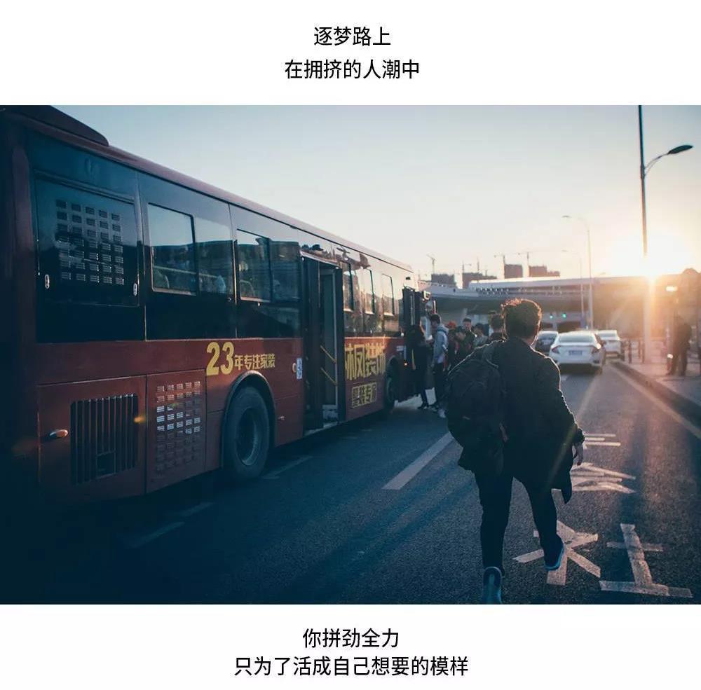 林鳳裝飾 為愛守護(hù) 林鳳裝飾 為愛守護(hù)